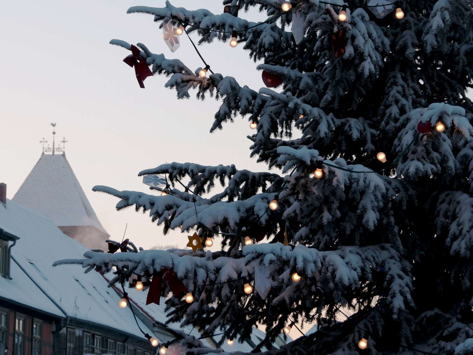 Weihnachtsbaum Plau Weihnachtsbaum Plau
