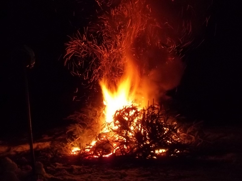 Tannenbaumverbrennen